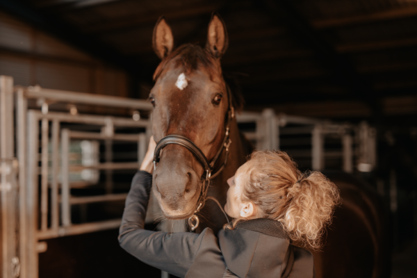 Kiropraktik af hest